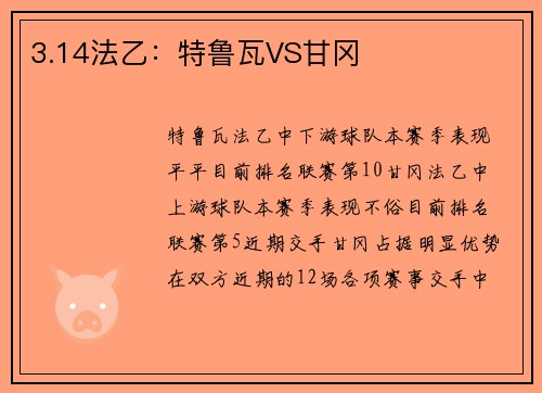 3.14法乙：特鲁瓦VS甘冈