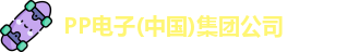 PP电子(中国)集团公司